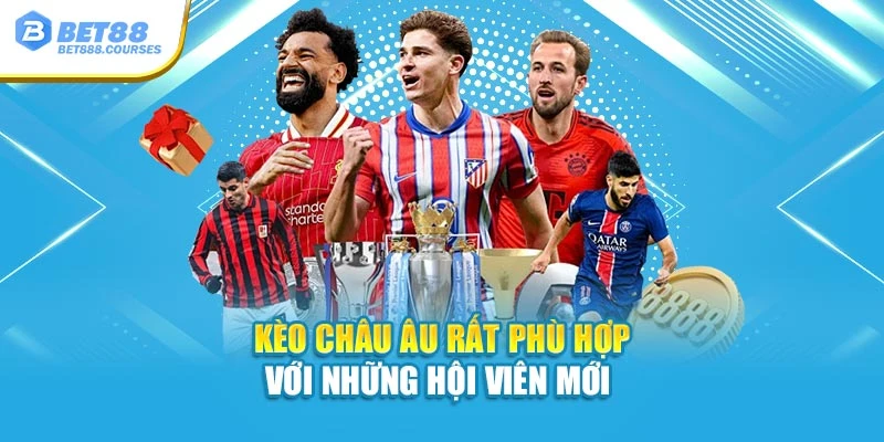 Kèo Châu Âu rất phù hợp với những hội viên mới 