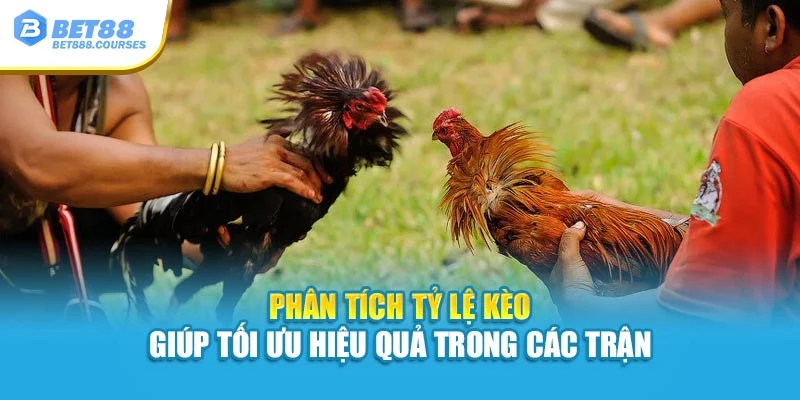 Phân tích tỷ lệ kèo giúp tối ưu hiệu quả trong các trận