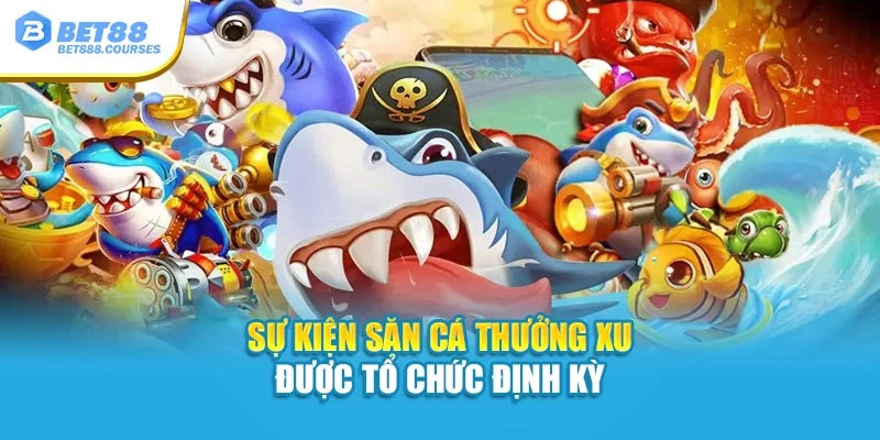 Sự kiện săn cá thưởng xu được tổ chức định kỳ