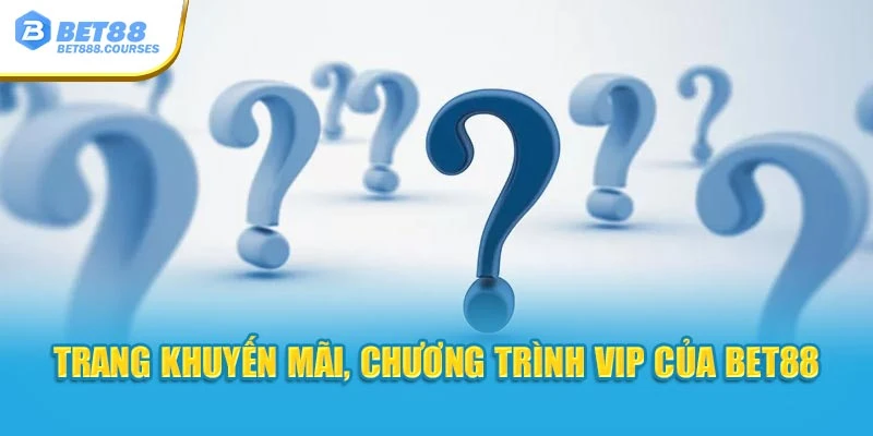 Trang khuyến mãi, chương trình VIP của Bet88